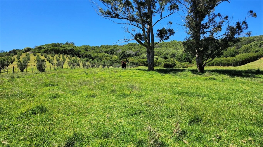 0 Bedroom Property for Sale in Agricultural Holding 318 Western Cape